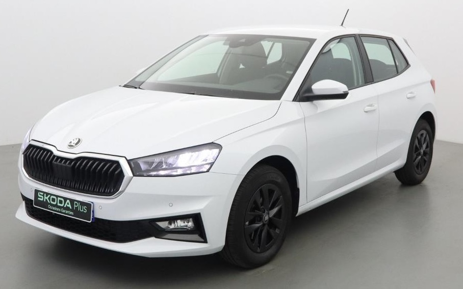 FABIA SELECTION 1.0 TSI EVO2 116 DSG - DECEMBRE 2025 - 10.649 KMS